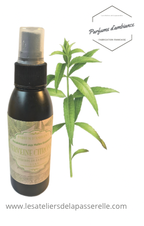 Verveine citronnée*